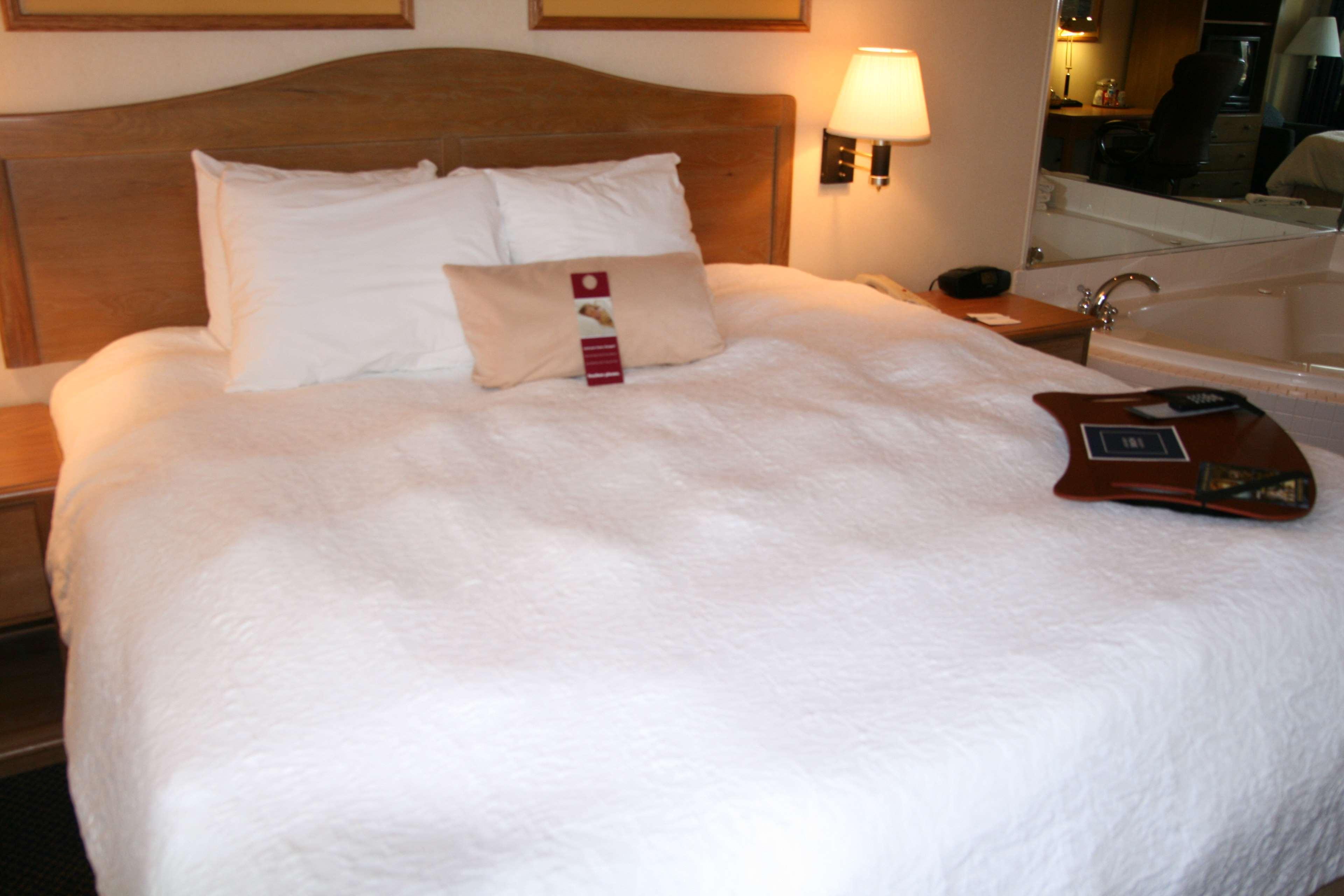 Hotel Hampton Sandusky-central